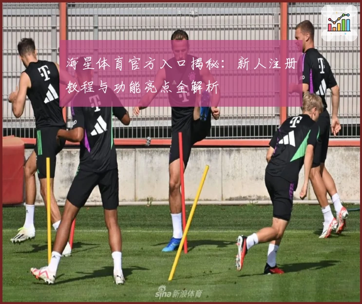 海星体育官方入口揭秘：新人注册教程与功能亮点全解析