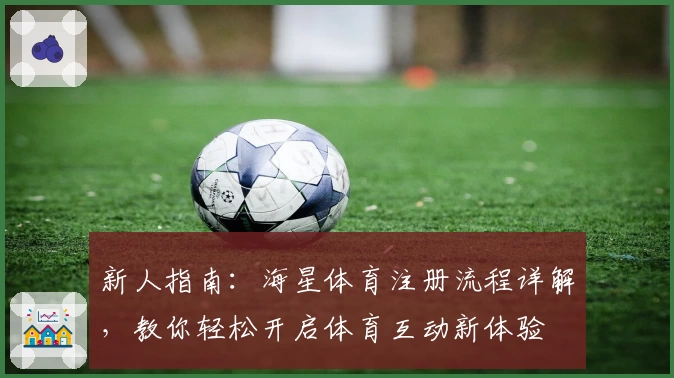 新人指南：海星体育注册流程详解，教你轻松开启体育互动新体验