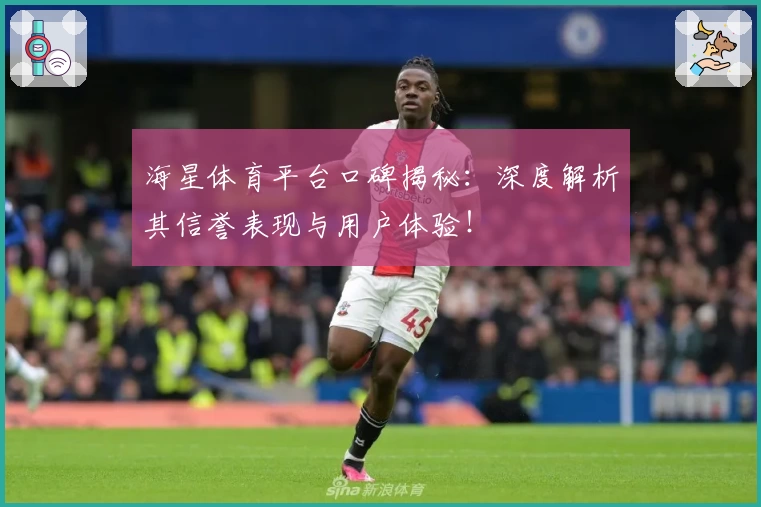 海星体育平台口碑揭秘：深度解析其信誉表现与用户体验！