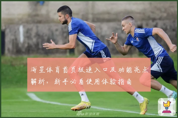 海星体育首页极速入口及功能亮点解析，新手必看使用体验指南