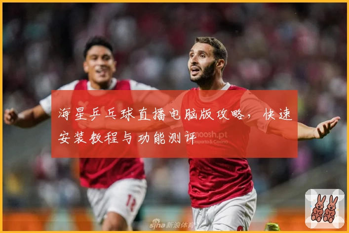 海星乒乓球直播电脑版攻略，快速安装教程与功能测评