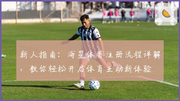 新人指南：海星体育注册流程详解，教你轻松开启体育互动新体验