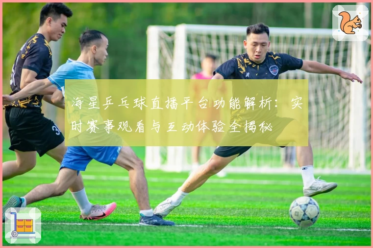 海星乒乓球直播平台功能解析：实时赛事观看与互动体验全揭秘