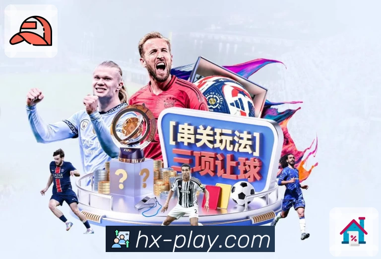 海星体育平台生态图